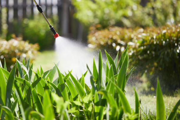 Tamper-Resistant Bait Stations for Rodents in Vance