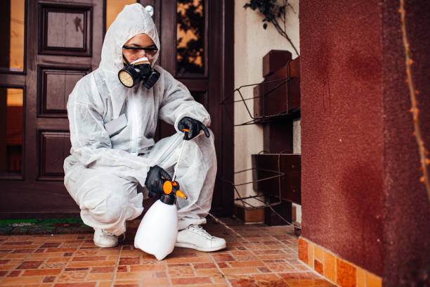 Attic and Crawl Space Rodent Treatment in Vance