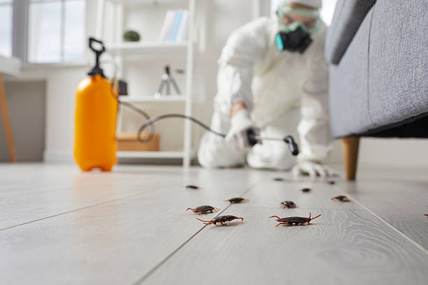 Commercial Rodent Management in Vance